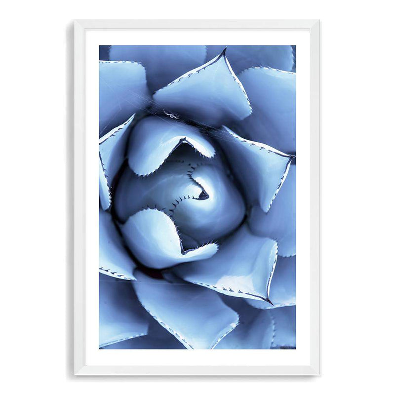 Winter Blue Succulent-The Paper Tree-blue,botanical,cacti,cactus,colourful,portrait,powder blue,premium art print,spider,succulent,vibrant,wall art,Wall_Art,Wall_Art_Prints,web,winter,winter blue