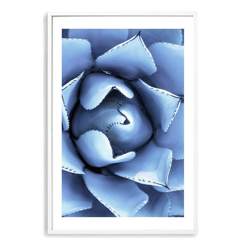 Winter Blue Succulent-The Paper Tree-blue,botanical,cacti,cactus,colourful,portrait,powder blue,premium art print,spider,succulent,vibrant,wall art,Wall_Art,Wall_Art_Prints,web,winter,winter blue