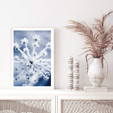 Winter Blooms-The Paper Tree-blue,botanical,colourful,floral,frost,ice,portrait,powder blue,premium art print,umbrella flower,vibrant,wall art,Wall_Art,Wall_Art_Prints,web,winter,winter blue