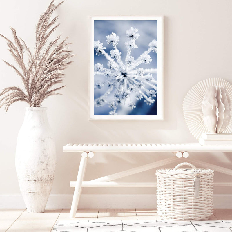 Winter Blooms-The Paper Tree-blue,botanical,colourful,floral,frost,ice,portrait,powder blue,premium art print,umbrella flower,vibrant,wall art,Wall_Art,Wall_Art_Prints,web,winter,winter blue