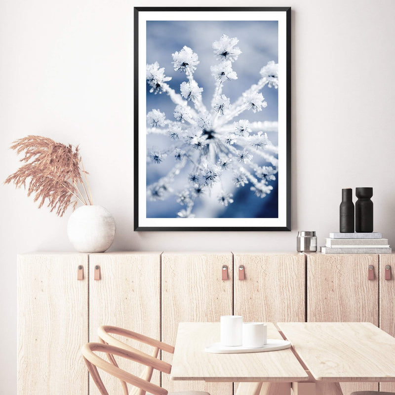 Winter Blooms-The Paper Tree-blue,botanical,colourful,floral,frost,ice,portrait,powder blue,premium art print,umbrella flower,vibrant,wall art,Wall_Art,Wall_Art_Prints,web,winter,winter blue