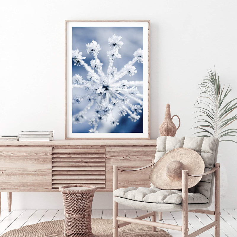 Winter Blooms-The Paper Tree-blue,botanical,colourful,floral,frost,ice,portrait,powder blue,premium art print,umbrella flower,vibrant,wall art,Wall_Art,Wall_Art_Prints,web,winter,winter blue