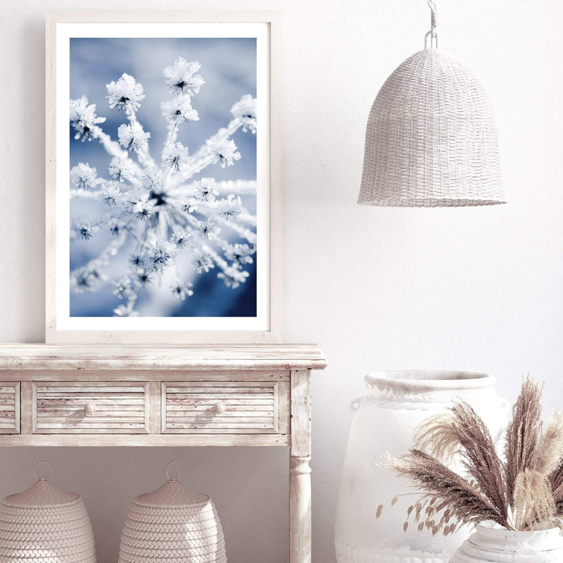 Winter Blooms-The Paper Tree-blue,botanical,colourful,floral,frost,ice,portrait,powder blue,premium art print,umbrella flower,vibrant,wall art,Wall_Art,Wall_Art_Prints,web,winter,winter blue