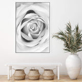 Rose-The Paper Tree-black & white,BLACK AND WHITE,feminine,floral,flower,hamptons,monochrome,petals,portrait,premium art print,rose,roses,wall art,Wall_Art,Wall_Art_Prints