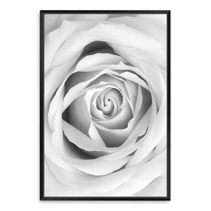 Rose-The Paper Tree-black & white,BLACK AND WHITE,feminine,floral,flower,hamptons,monochrome,petals,portrait,premium art print,rose,roses,wall art,Wall_Art,Wall_Art_Prints