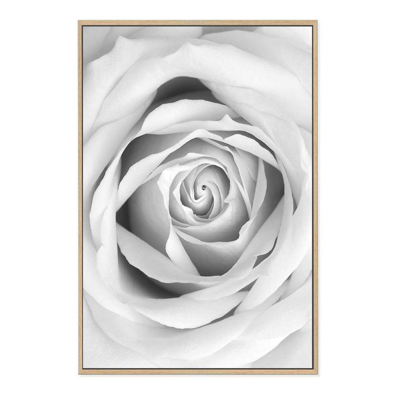 Rose-The Paper Tree-black & white,BLACK AND WHITE,feminine,floral,flower,hamptons,monochrome,petals,portrait,premium art print,rose,roses,wall art,Wall_Art,Wall_Art_Prints