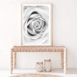 Rose-The Paper Tree-black & white,BLACK AND WHITE,feminine,floral,flower,hamptons,monochrome,petals,portrait,premium art print,rose,roses,wall art,Wall_Art,Wall_Art_Prints