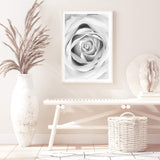 Rose-The Paper Tree-black & white,BLACK AND WHITE,feminine,floral,flower,hamptons,monochrome,petals,portrait,premium art print,rose,roses,wall art,Wall_Art,Wall_Art_Prints