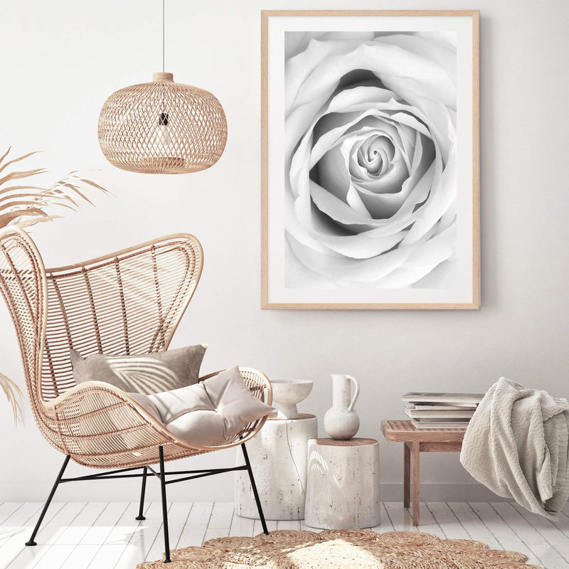 Rose-The Paper Tree-black & white,BLACK AND WHITE,feminine,floral,flower,hamptons,monochrome,petals,portrait,premium art print,rose,roses,wall art,Wall_Art,Wall_Art_Prints