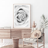 Rose-The Paper Tree-black & white,BLACK AND WHITE,feminine,floral,flower,hamptons,monochrome,petals,portrait,premium art print,rose,roses,wall art,Wall_Art,Wall_Art_Prints