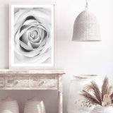 Rose-The Paper Tree-black & white,BLACK AND WHITE,feminine,floral,flower,hamptons,monochrome,petals,portrait,premium art print,rose,roses,wall art,Wall_Art,Wall_Art_Prints