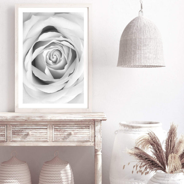 Rose-The Paper Tree-black & white,BLACK AND WHITE,feminine,floral,flower,hamptons,monochrome,petals,portrait,premium art print,rose,roses,wall art,Wall_Art,Wall_Art_Prints