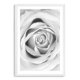 Rose-The Paper Tree-black & white,BLACK AND WHITE,feminine,floral,flower,hamptons,monochrome,petals,portrait,premium art print,rose,roses,wall art,Wall_Art,Wall_Art_Prints