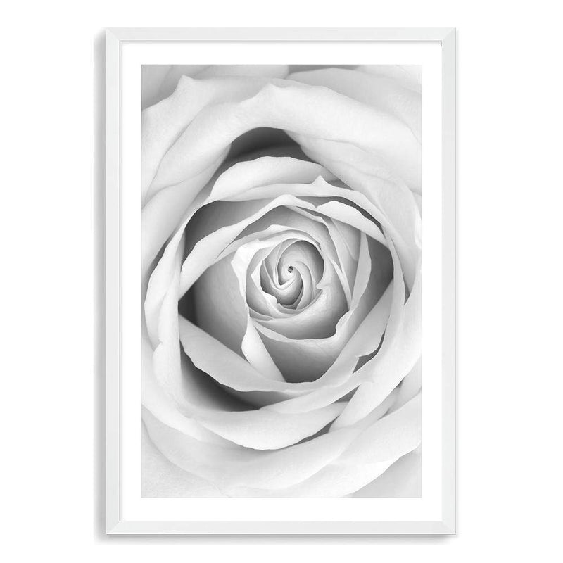 Rose-The Paper Tree-black & white,BLACK AND WHITE,feminine,floral,flower,hamptons,monochrome,petals,portrait,premium art print,rose,roses,wall art,Wall_Art,Wall_Art_Prints