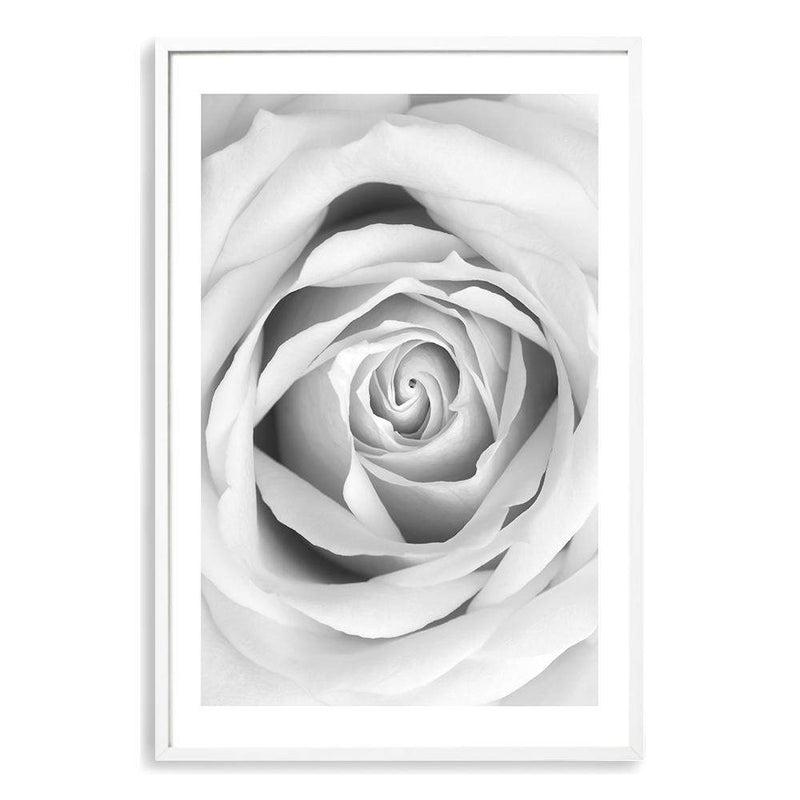 Rose-The Paper Tree-black & white,BLACK AND WHITE,feminine,floral,flower,hamptons,monochrome,petals,portrait,premium art print,rose,roses,wall art,Wall_Art,Wall_Art_Prints