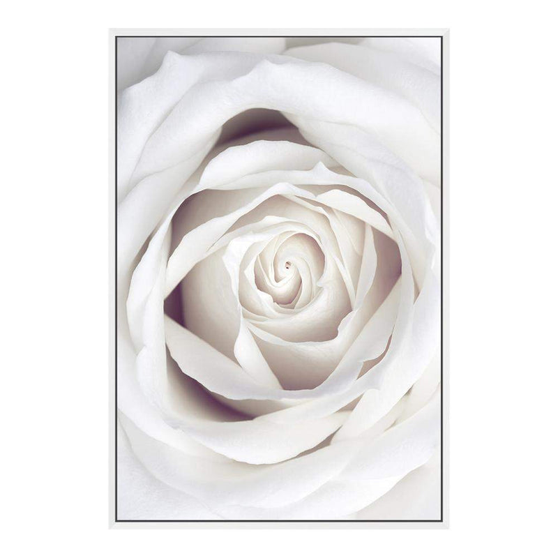 White Rose-The Paper Tree-boho,feminine,floral,flower,hamptons,neutral,petals,portrait,premium art print,rose,roses,wall art,Wall_Art,Wall_Art_Prints,white,white rose