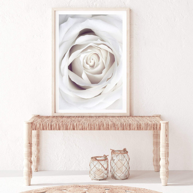 White Rose-The Paper Tree-boho,feminine,floral,flower,hamptons,neutral,petals,portrait,premium art print,rose,roses,wall art,Wall_Art,Wall_Art_Prints,white,white rose