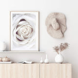 White Rose-The Paper Tree-boho,feminine,floral,flower,hamptons,neutral,petals,portrait,premium art print,rose,roses,wall art,Wall_Art,Wall_Art_Prints,white,white rose