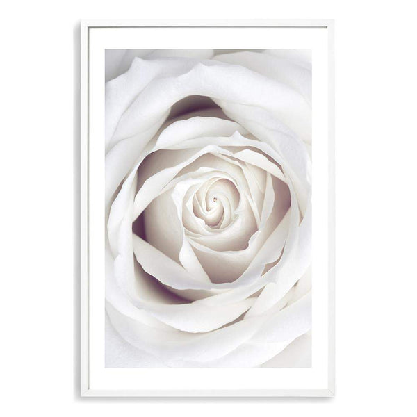 White Rose-The Paper Tree-boho,feminine,floral,flower,hamptons,neutral,petals,portrait,premium art print,rose,roses,wall art,Wall_Art,Wall_Art_Prints,white,white rose