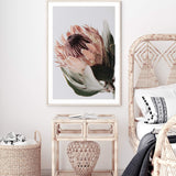 Peach Protea Floral-The Paper Tree-boho,feminine,floral,flower,flowers,green,muted tone,peach,portrait,premium art print,protea,protea flower,wall art,Wall_Art,Wall_Art_Prints