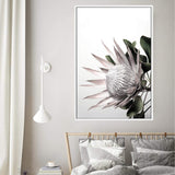 Blush Protea-The Paper Tree-blooms,blush,dusty pink,floral,flower,flowers,hamptons,pink,pink flower,pink protea,portrait,premium art print,protea,protea flower,protea flowers,wall art,Wall_Art,Wall_Art_Prints