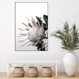 Blush Protea-The Paper Tree-blooms,blush,dusty pink,floral,flower,flowers,hamptons,pink,pink flower,pink protea,portrait,premium art print,protea,protea flower,protea flowers,wall art,Wall_Art,Wall_Art_Prints