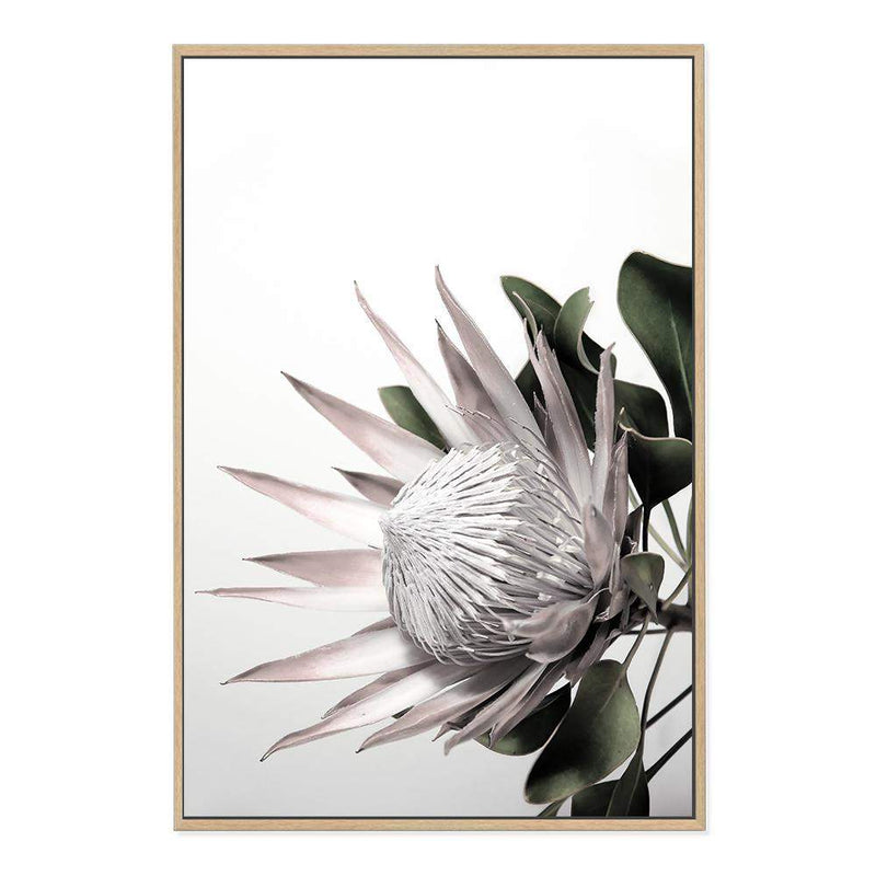 Blush Protea-The Paper Tree-blooms,blush,dusty pink,floral,flower,flowers,hamptons,pink,pink flower,pink protea,portrait,premium art print,protea,protea flower,protea flowers,wall art,Wall_Art,Wall_Art_Prints