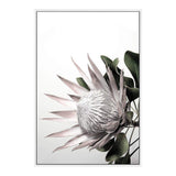 Blush Protea-The Paper Tree-blooms,blush,dusty pink,floral,flower,flowers,hamptons,pink,pink flower,pink protea,portrait,premium art print,protea,protea flower,protea flowers,wall art,Wall_Art,Wall_Art_Prints