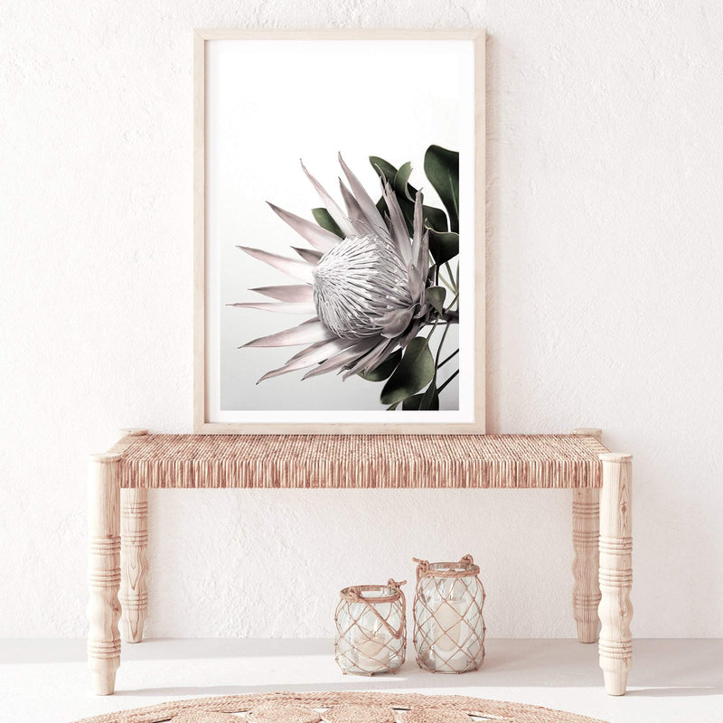 Blush Protea-The Paper Tree-blooms,blush,dusty pink,floral,flower,flowers,hamptons,pink,pink flower,pink protea,portrait,premium art print,protea,protea flower,protea flowers,wall art,Wall_Art,Wall_Art_Prints