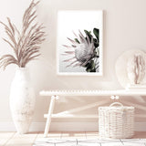 Blush Protea-The Paper Tree-blooms,blush,dusty pink,floral,flower,flowers,hamptons,pink,pink flower,pink protea,portrait,premium art print,protea,protea flower,protea flowers,wall art,Wall_Art,Wall_Art_Prints