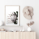 Blush Protea-The Paper Tree-blooms,blush,dusty pink,floral,flower,flowers,hamptons,pink,pink flower,pink protea,portrait,premium art print,protea,protea flower,protea flowers,wall art,Wall_Art,Wall_Art_Prints