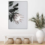 Blush Protea Flower-The Paper Tree-blooms,blush,dusty pink,floral,flower,flowers,hamptons,pink,pink flower,pink protea,portrait,premium art print,protea,protea flower,protea flowers,wall art,Wall_Art,Wall_Art_Prints