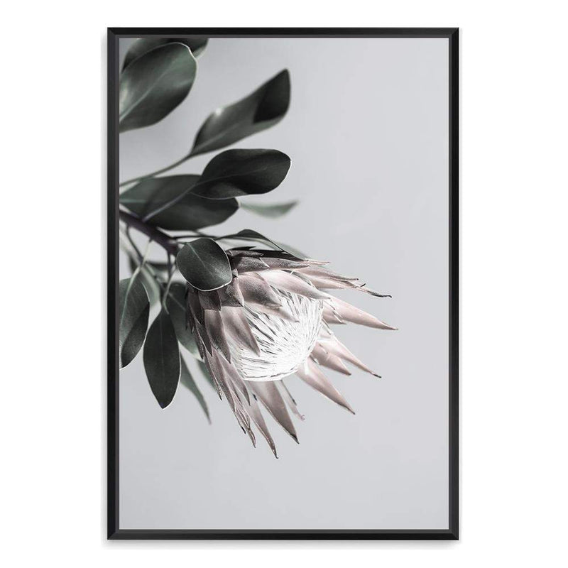 Blush Protea Flower-The Paper Tree-blooms,blush,dusty pink,floral,flower,flowers,hamptons,pink,pink flower,pink protea,portrait,premium art print,protea,protea flower,protea flowers,wall art,Wall_Art,Wall_Art_Prints