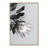 Blush Protea Flower-The Paper Tree-blooms,blush,dusty pink,floral,flower,flowers,hamptons,pink,pink flower,pink protea,portrait,premium art print,protea,protea flower,protea flowers,wall art,Wall_Art,Wall_Art_Prints