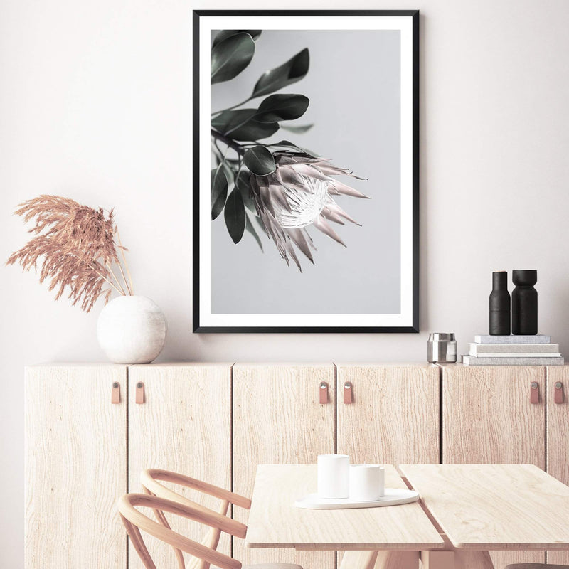 Blush Protea Flower-The Paper Tree-blooms,blush,dusty pink,floral,flower,flowers,hamptons,pink,pink flower,pink protea,portrait,premium art print,protea,protea flower,protea flowers,wall art,Wall_Art,Wall_Art_Prints