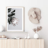 Blush Protea Flower-The Paper Tree-blooms,blush,dusty pink,floral,flower,flowers,hamptons,pink,pink flower,pink protea,portrait,premium art print,protea,protea flower,protea flowers,wall art,Wall_Art,Wall_Art_Prints