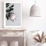 Blush Protea Flower-The Paper Tree-blooms,blush,dusty pink,floral,flower,flowers,hamptons,pink,pink flower,pink protea,portrait,premium art print,protea,protea flower,protea flowers,wall art,Wall_Art,Wall_Art_Prints