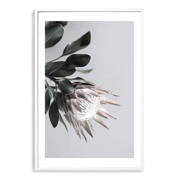 Blush Protea Flower-The Paper Tree-blooms,blush,dusty pink,floral,flower,flowers,hamptons,pink,pink flower,pink protea,portrait,premium art print,protea,protea flower,protea flowers,wall art,Wall_Art,Wall_Art_Prints