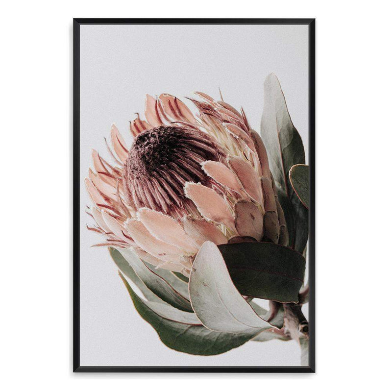 Peach Protea Floral-The Paper Tree-boho,feminine,floral,flower,flowers,green,muted tone,peach,portrait,premium art print,protea,protea flower,wall art,Wall_Art,Wall_Art_Prints