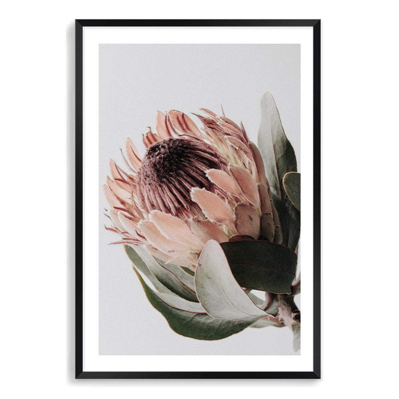 Peach Protea Floral-The Paper Tree-boho,feminine,floral,flower,flowers,green,muted tone,peach,portrait,premium art print,protea,protea flower,wall art,Wall_Art,Wall_Art_Prints