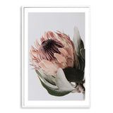 Peach Protea Floral-The Paper Tree-boho,feminine,floral,flower,flowers,green,muted tone,peach,portrait,premium art print,protea,protea flower,wall art,Wall_Art,Wall_Art_Prints