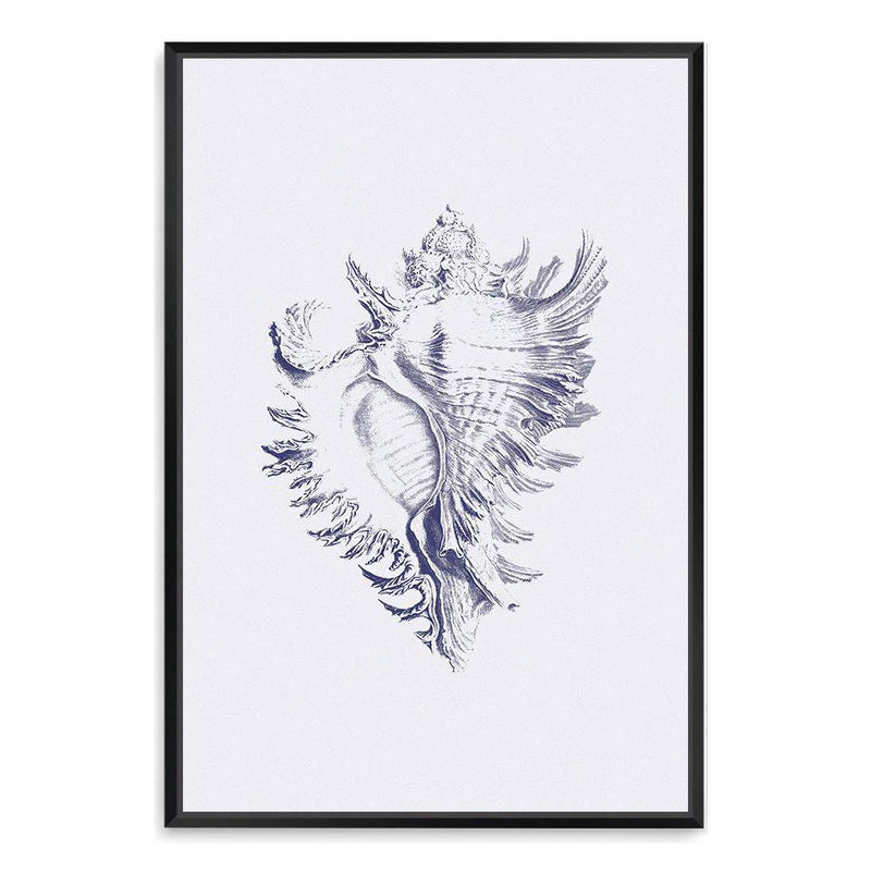 Blue Sea Shell | Hamptons-The Paper Tree-Art_Prints,Artwork,BEACH,blue,blue coral,coastal,COASTAL ART,coral,Designer,hamptons,portrait,premium art print,sea shell,shell,wall art,Wall_Art,Wall_Art_Prints