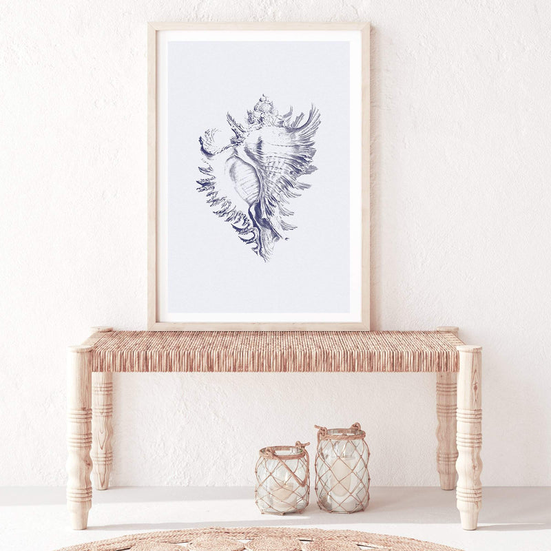 Blue Sea Shell | Hamptons-The Paper Tree-Art_Prints,Artwork,BEACH,blue,blue coral,coastal,COASTAL ART,coral,Designer,hamptons,portrait,premium art print,sea shell,shell,wall art,Wall_Art,Wall_Art_Prints