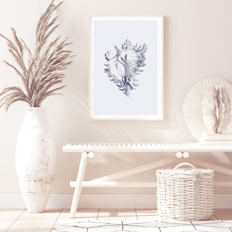 Blue Sea Shell | Hamptons-The Paper Tree-Art_Prints,Artwork,BEACH,blue,blue coral,coastal,COASTAL ART,coral,Designer,hamptons,portrait,premium art print,sea shell,shell,wall art,Wall_Art,Wall_Art_Prints