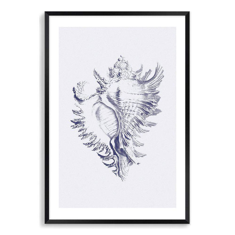 Blue Sea Shell | Hamptons-The Paper Tree-Art_Prints,Artwork,BEACH,blue,blue coral,coastal,COASTAL ART,coral,Designer,hamptons,portrait,premium art print,sea shell,shell,wall art,Wall_Art,Wall_Art_Prints