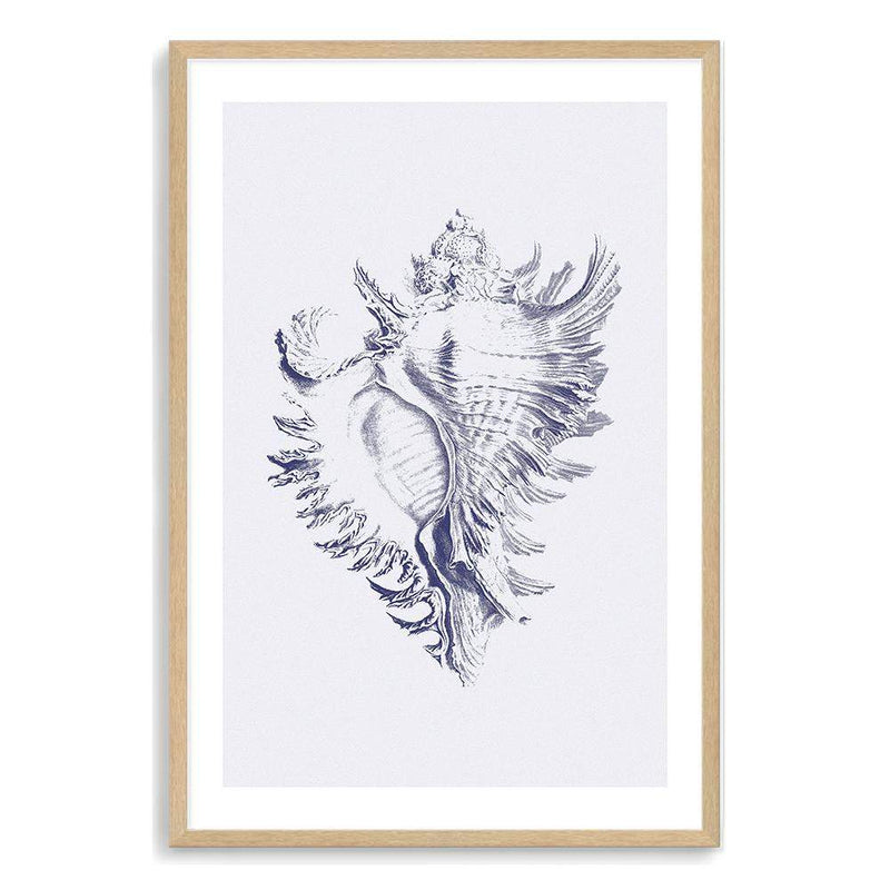 Blue Sea Shell | Hamptons-The Paper Tree-Art_Prints,Artwork,BEACH,blue,blue coral,coastal,COASTAL ART,coral,Designer,hamptons,portrait,premium art print,sea shell,shell,wall art,Wall_Art,Wall_Art_Prints