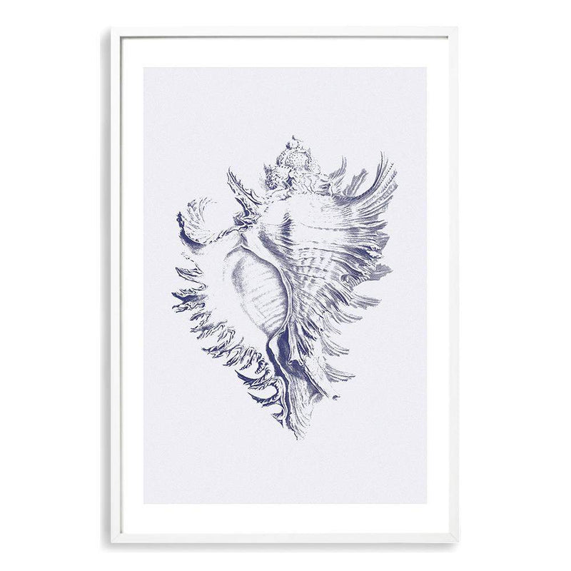 Blue Sea Shell | Hamptons-The Paper Tree-Art_Prints,Artwork,BEACH,blue,blue coral,coastal,COASTAL ART,coral,Designer,hamptons,portrait,premium art print,sea shell,shell,wall art,Wall_Art,Wall_Art_Prints