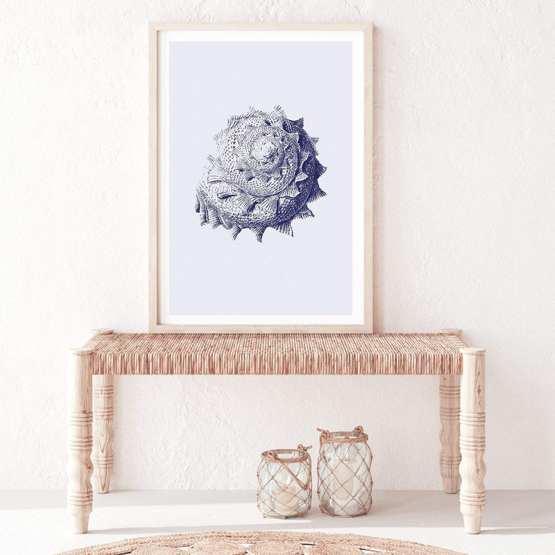 Blue Sea Shell II | Hamptons-The Paper Tree-Art_Prints,Artwork,BEACH,blue,blue coral,coastal,COASTAL ART,coral,Designer,hamptons,portrait,premium art print,sea shell,shell,wall art,Wall_Art,Wall_Art_Prints