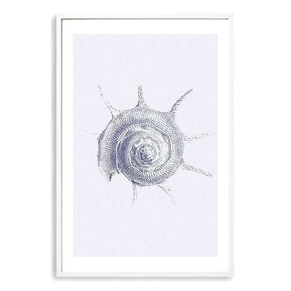 Blue Sea Shell III | Hamptons-The Paper Tree-Art_Prints,Artwork,BEACH,blue,blue coral,coastal,COASTAL ART,coral,Designer,hamptons,portrait,premium art print,sea shell,shell,wall art,Wall_Art,Wall_Art_Prints