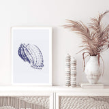 Blue Sea Shell IIIII | Hamptons-The Paper Tree-Art_Prints,Artwork,BEACH,blue,blue coral,coastal,COASTAL ART,coral,Designer,hamptons,portrait,premium art print,sea shell,shell,wall art,Wall_Art,Wall_Art_Prints